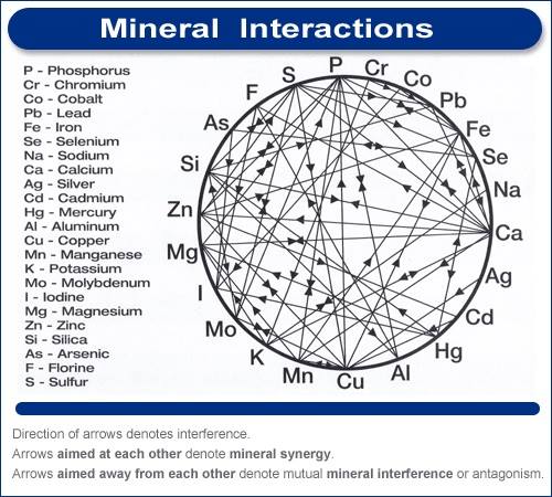 Mulders-Chart02.jpg