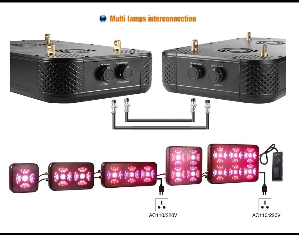 Multi-Lamp Connection