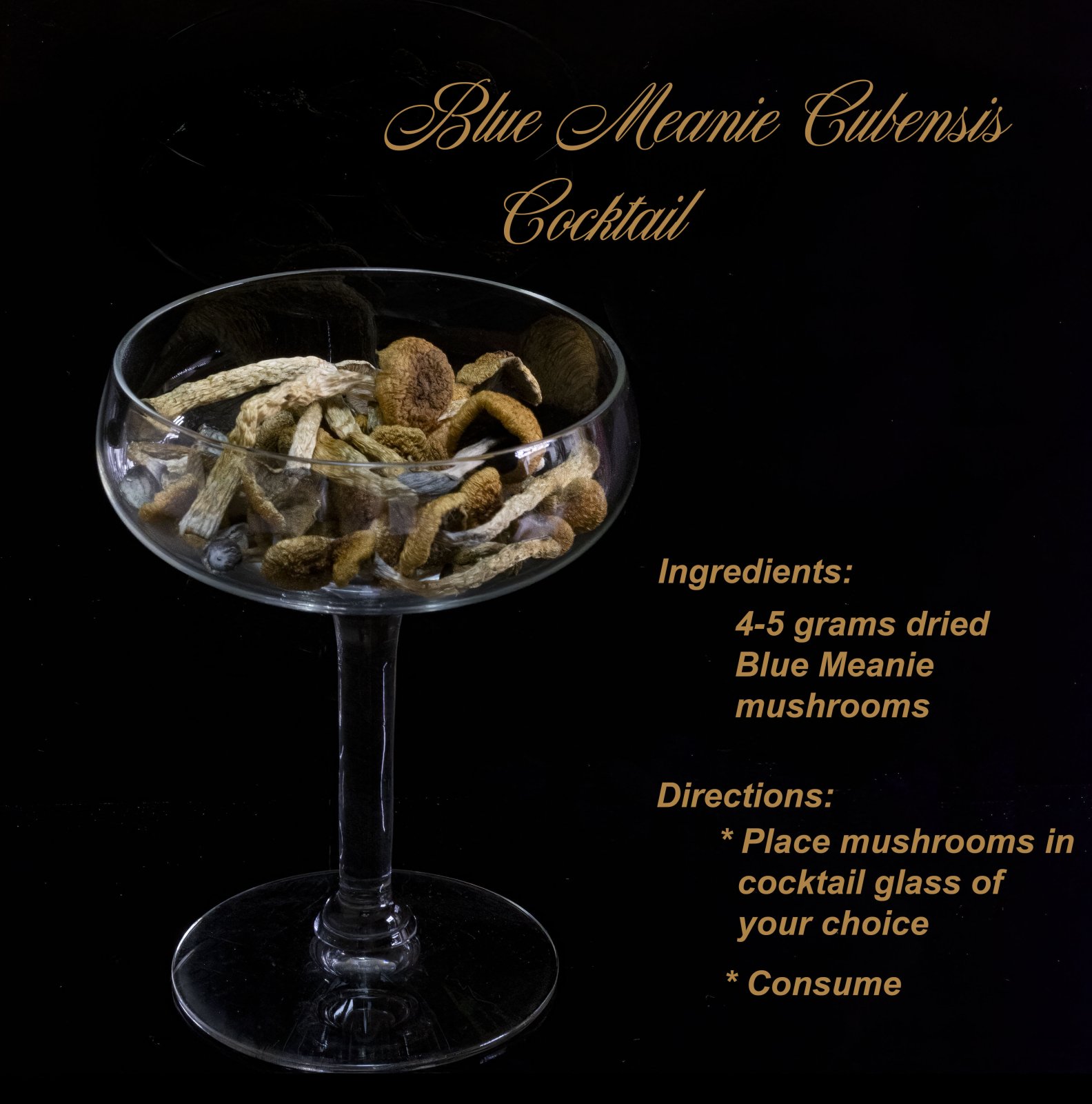 Mushroom cocktail.jpg