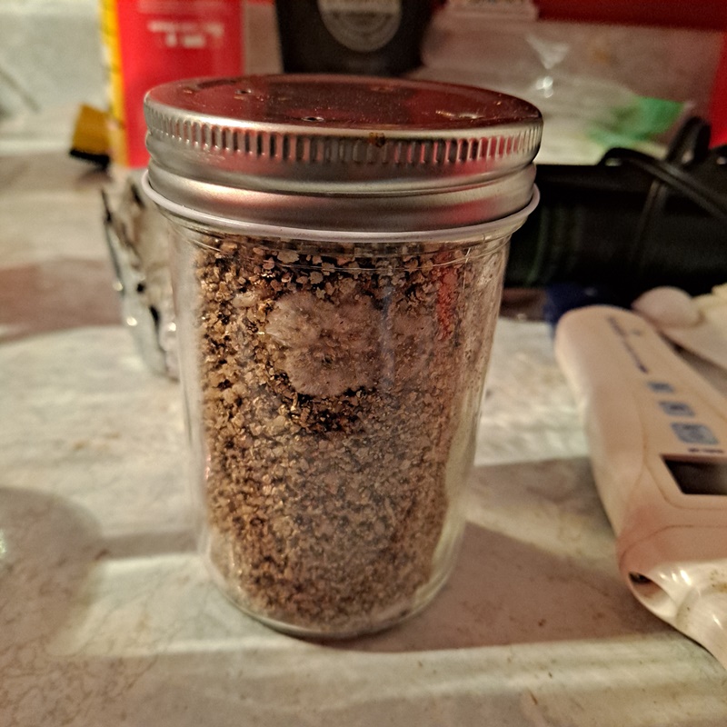 Mushroom jar 1A 10-02b.jpg