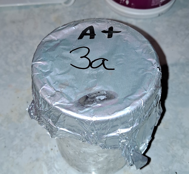 Mushroom jar 3A 17.jpg