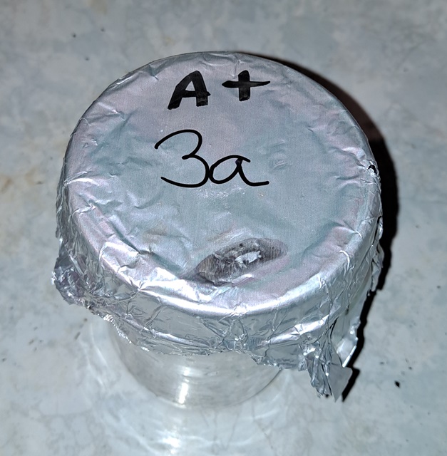 Mushroom jar 3A 20.jpg