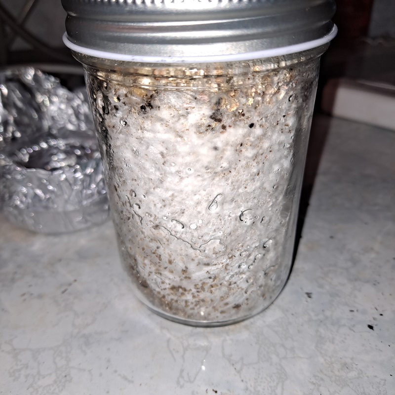 Mushroom jar 3A 20a.jpg