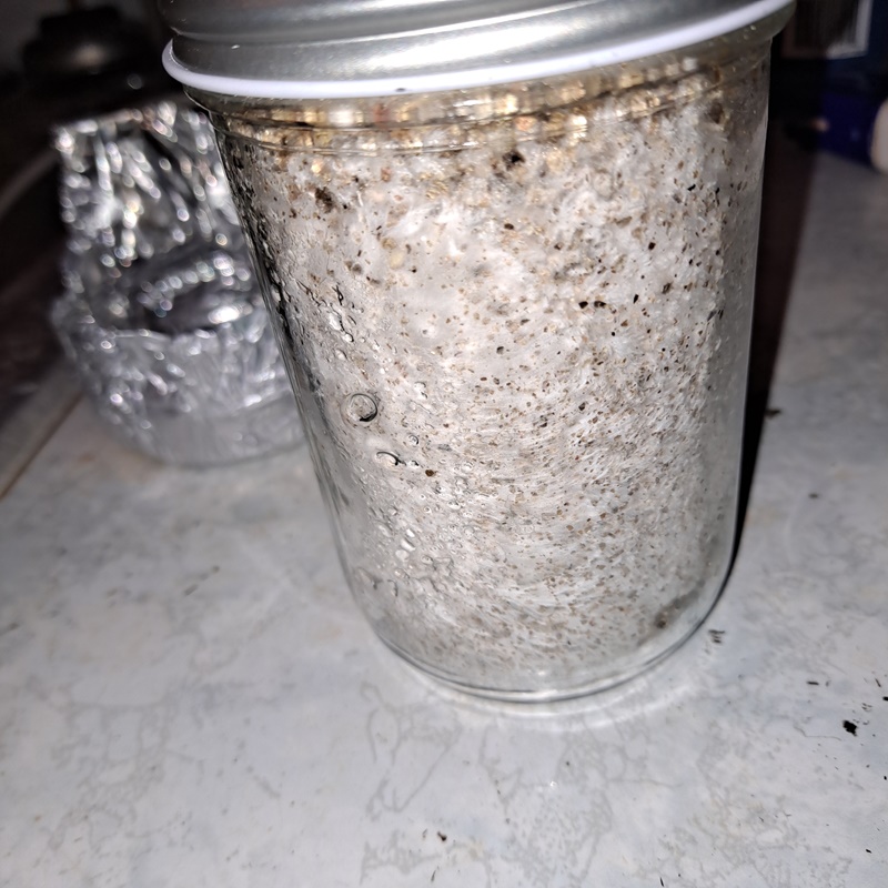 Mushroom jar 3A 20b.jpg