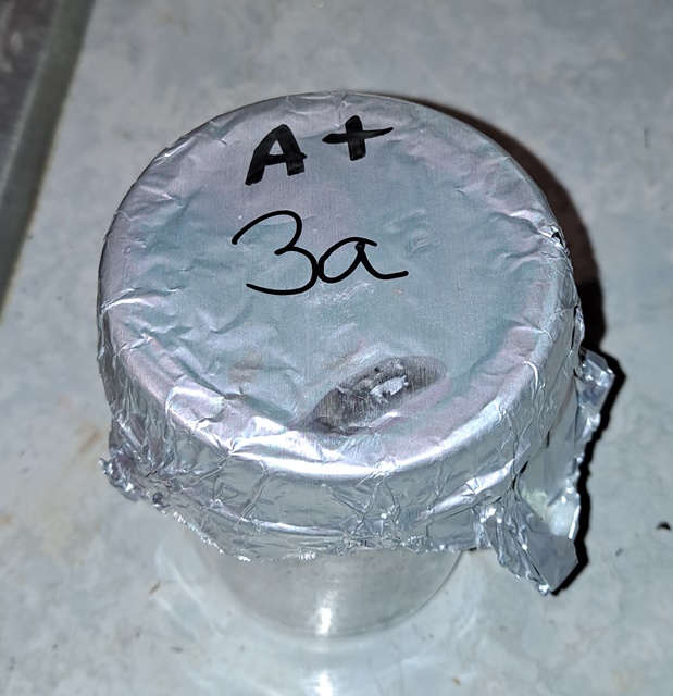 Mushroom jar A+ Albino 3A 22.jpg