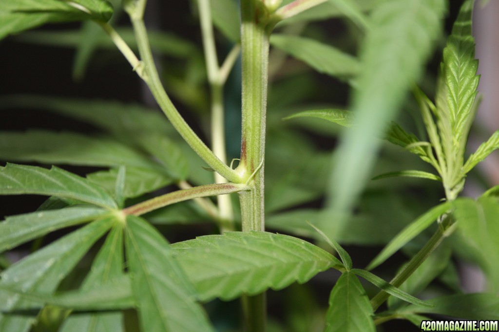 My 1st Grow - Outdoor Learning