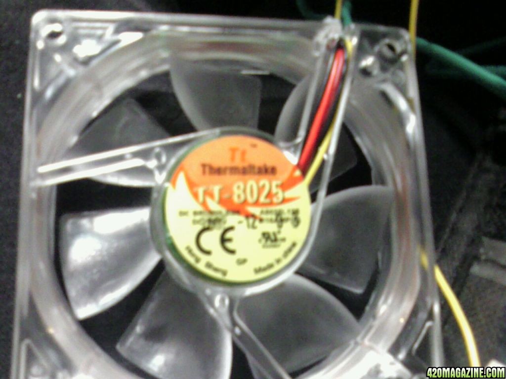 my fan