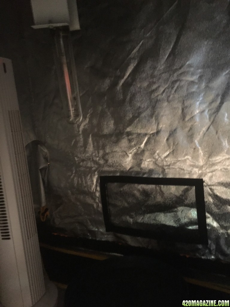 my first grow tent grow-