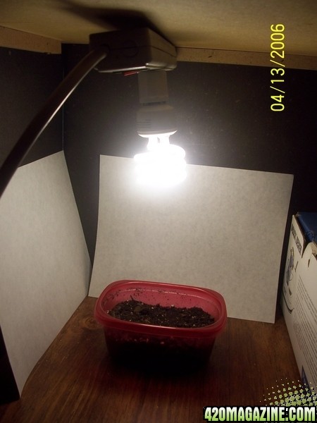 My grow setup ...