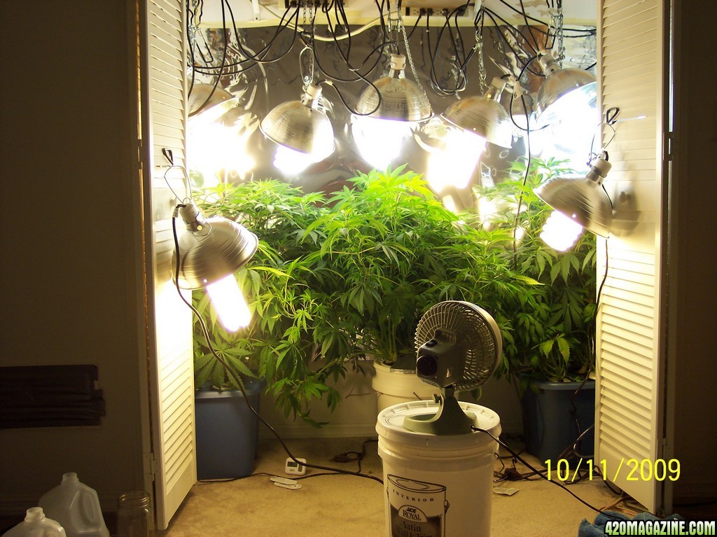 my grow