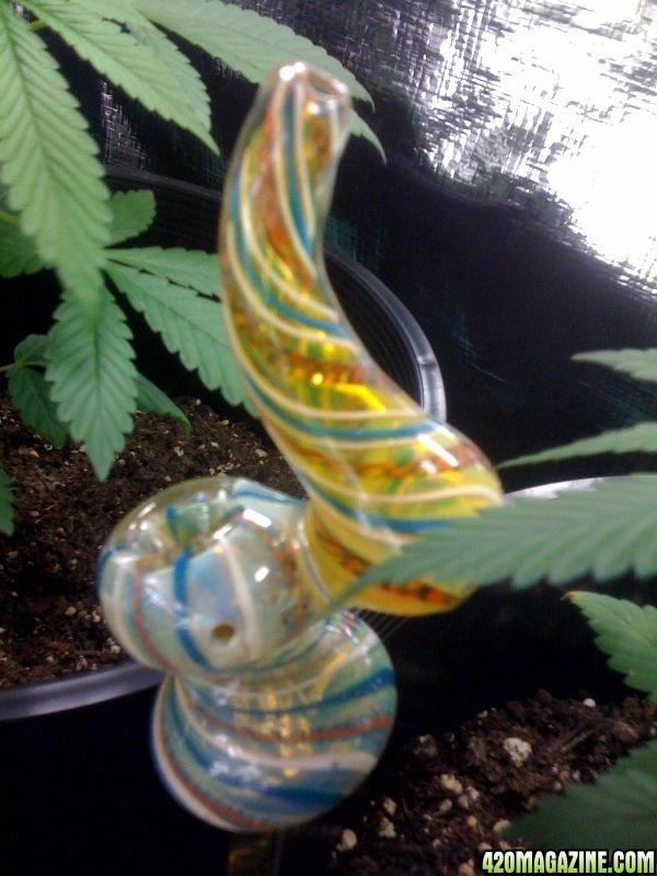 My New Bubbler!