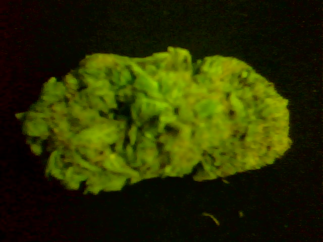 my nugs lol