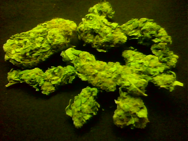 my nugs lol