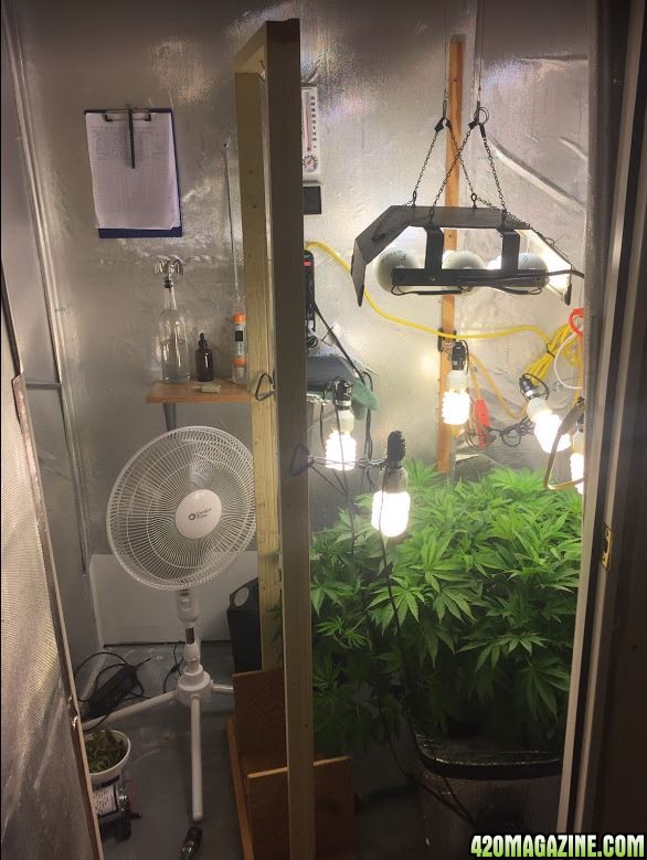 My Stealth Grow Room