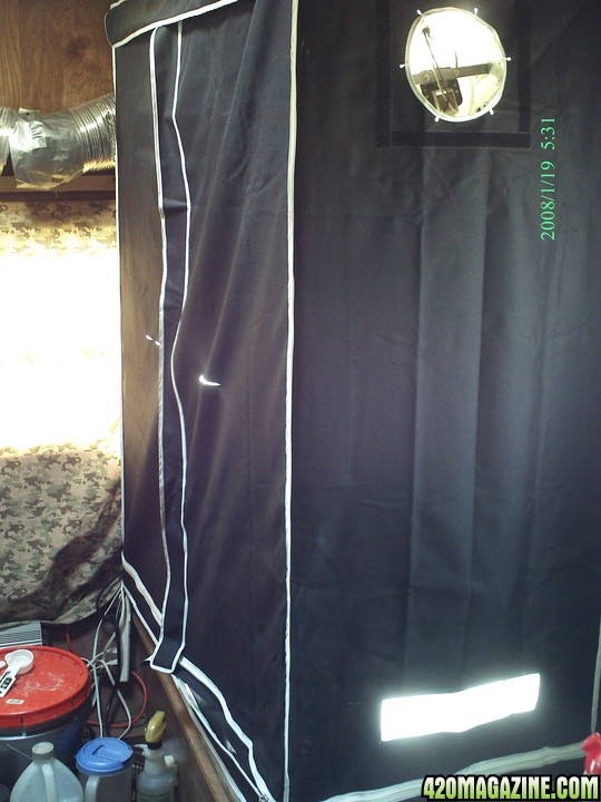 my_grow_tent