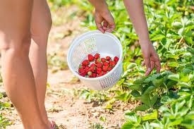 naked gardening.jpg