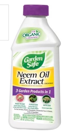 Neem oil.JPG