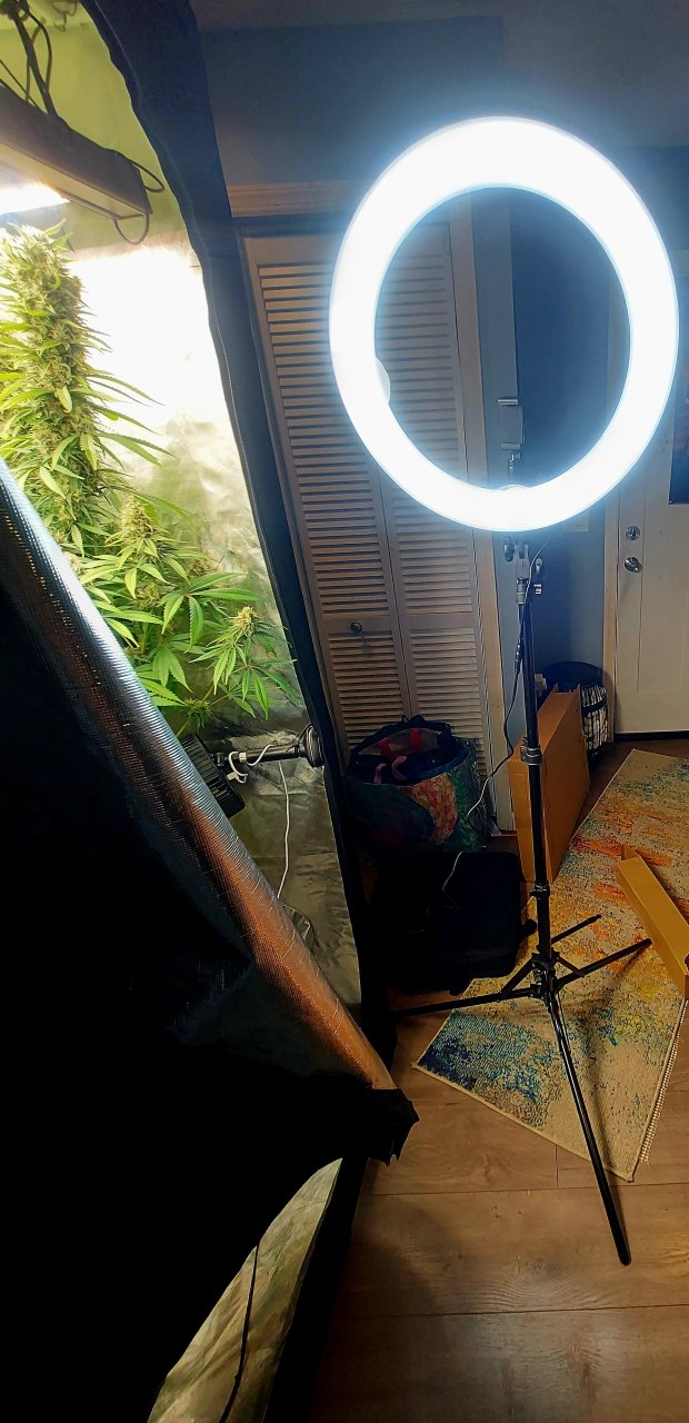 NEEWER 18 inch Ring Light