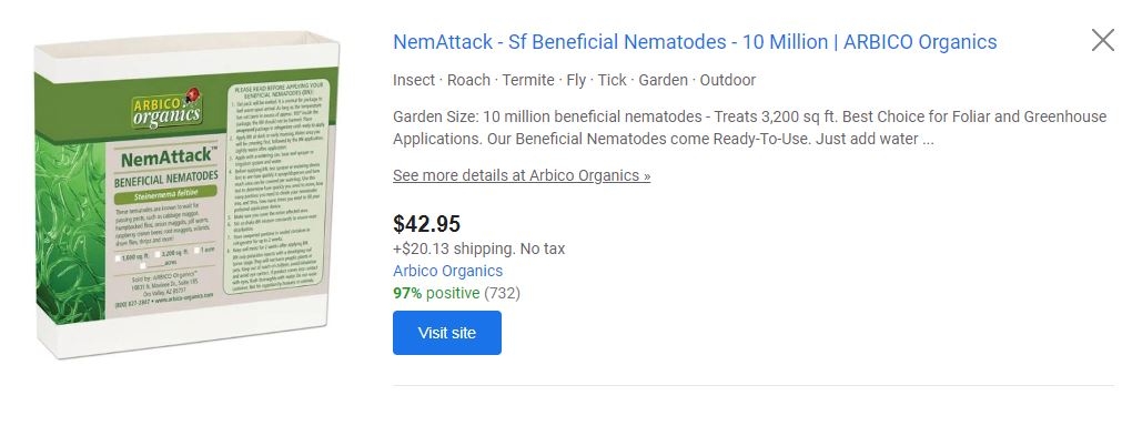 Nematodes.JPG