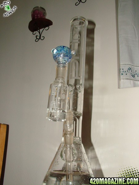 New Ash Catcher