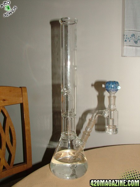 New Ash Catcher