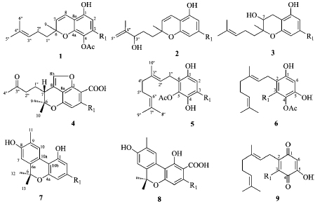 New biologically active compounds from cannabis