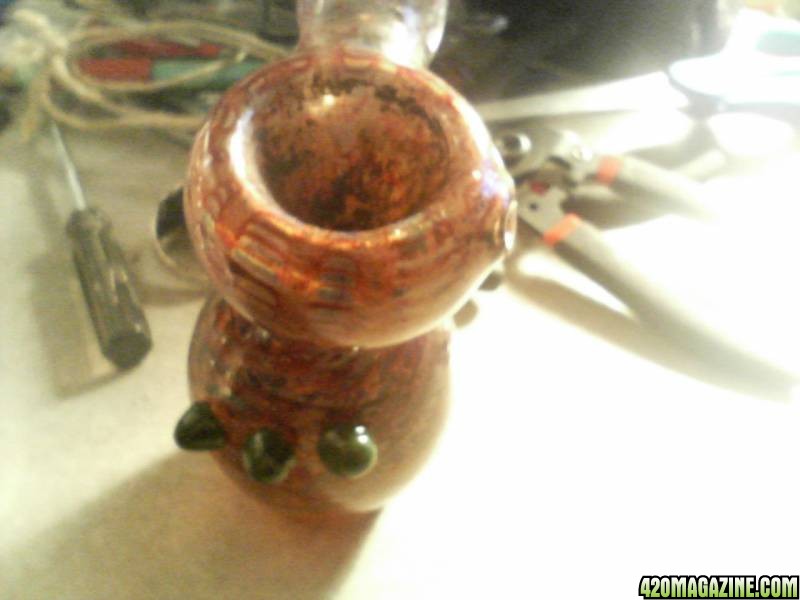 New Bubbler. I dub thee Squirtle