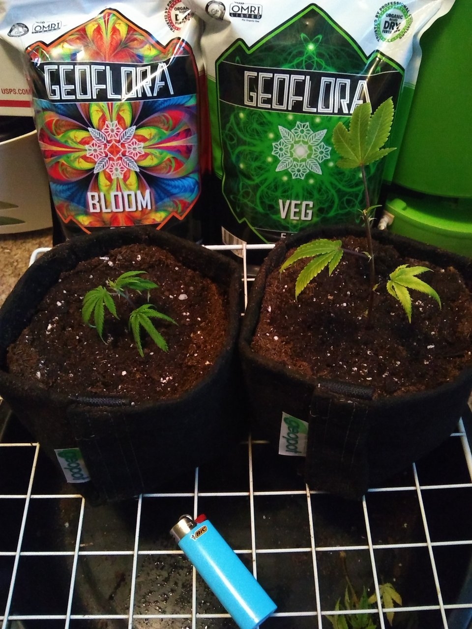 New clones