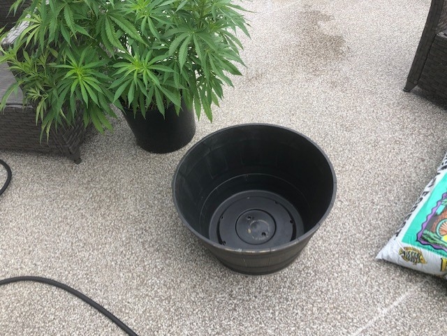 new pots.jpg