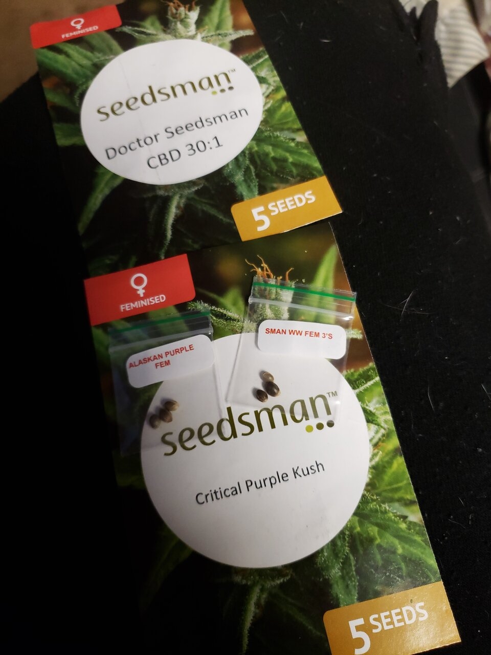 New Seedsman order showed up