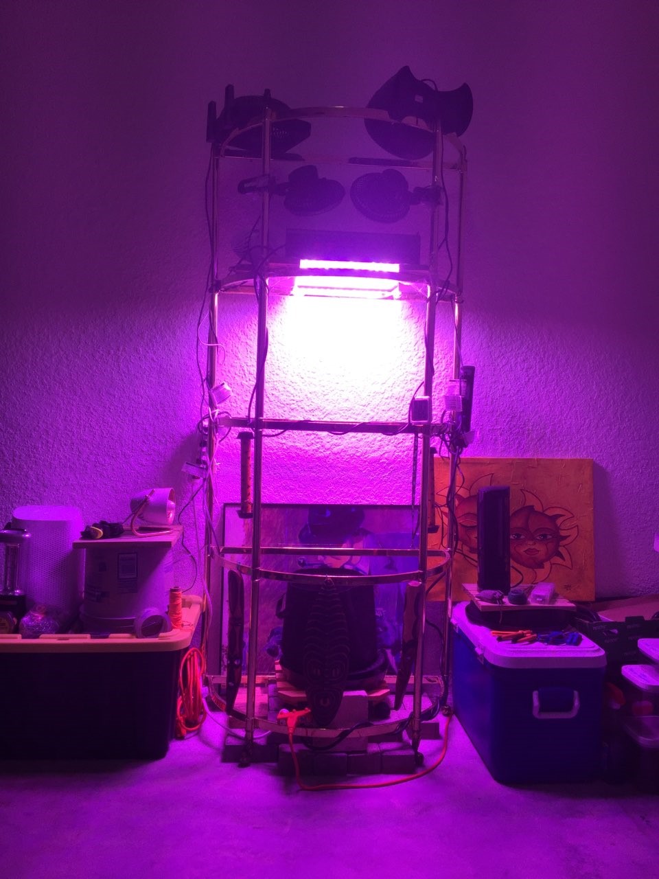 New setup single autoflower rig with everything on.jpg