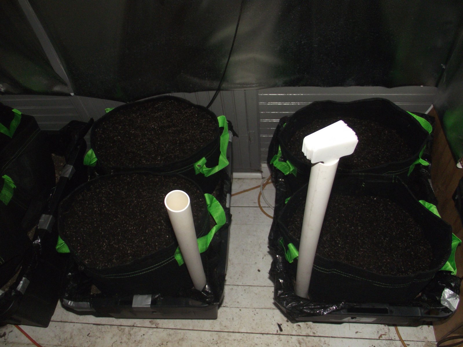 new sip tubs for veg.JPG