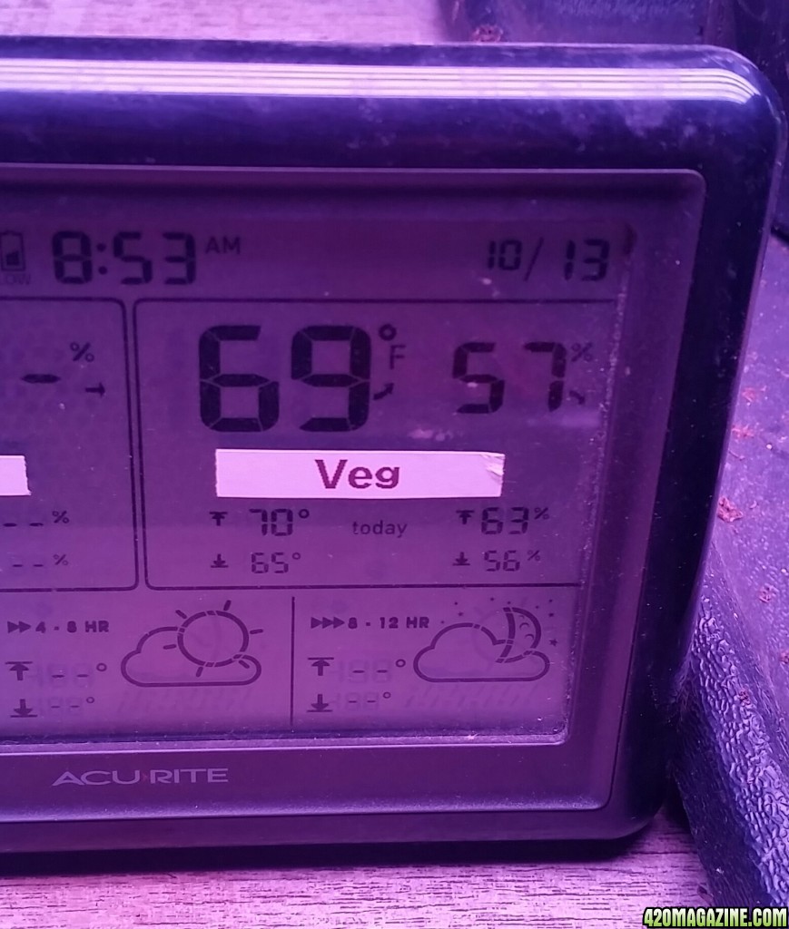 New sprouts temp &amp; rh