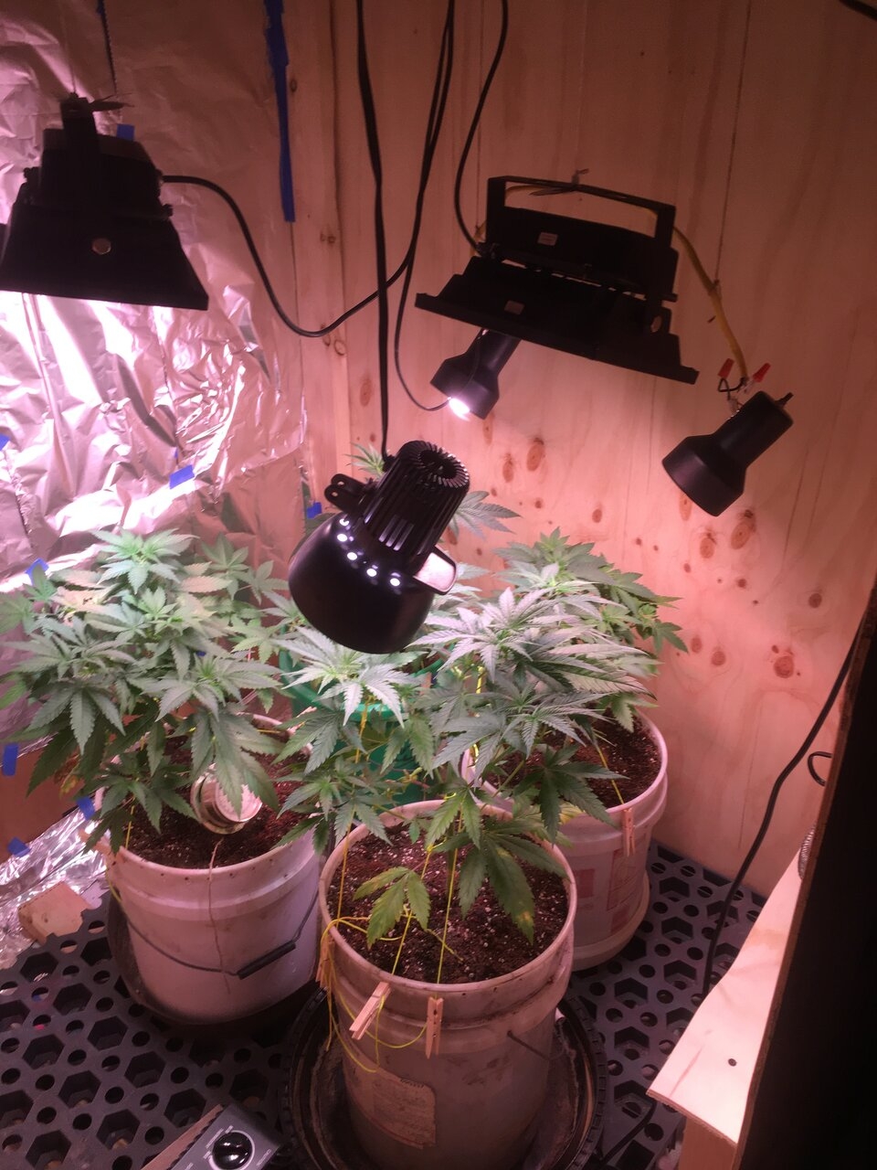 New Veg Room