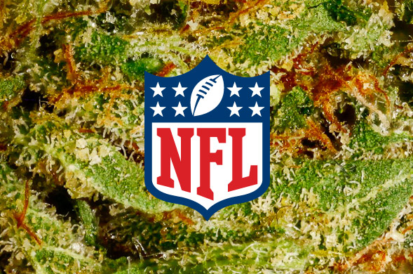 NFL-and-marijuana