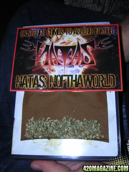 NofthaWorld Blunt