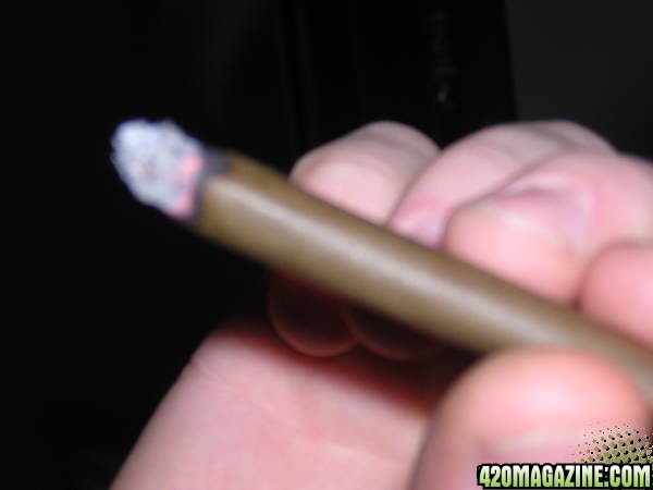 NofthaWorld Blunt