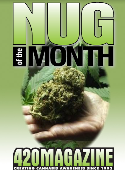 Nug-Month_new