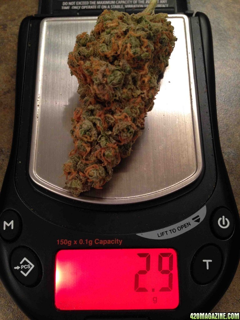 Nug_of_the_Month_2