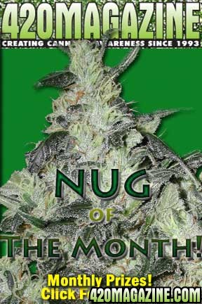 nugmonth2