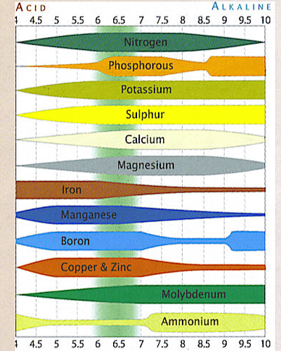 Nute PH uptake chart.jpg