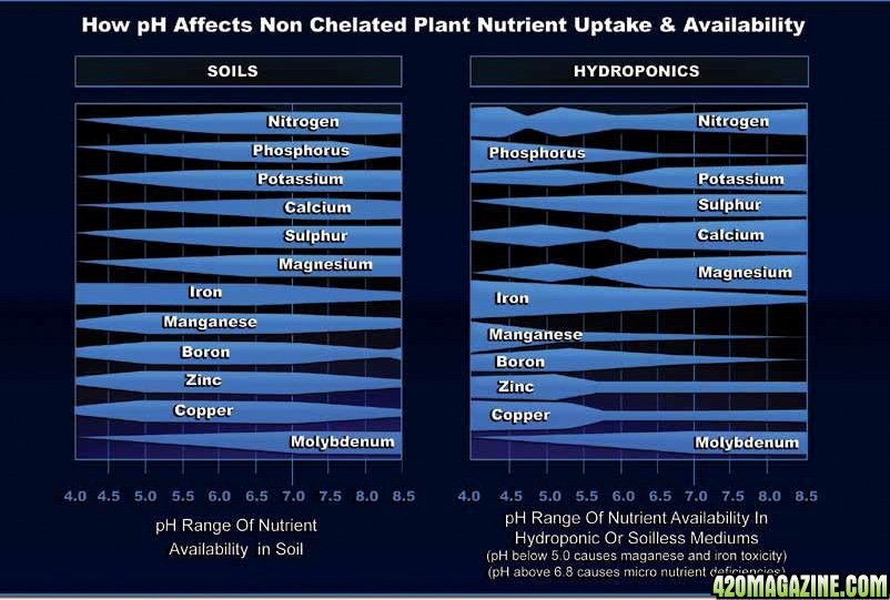 nutrient availability in soil vs. hydroponics