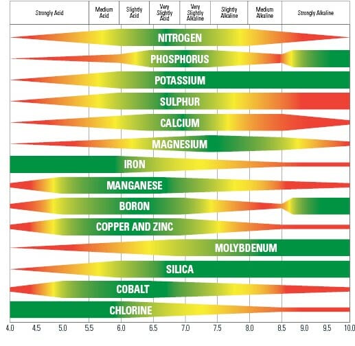 Nutrient-Availability-Scale - Copy.jpg