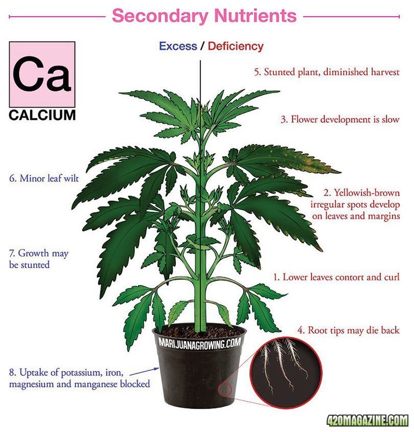 nutrient-chart-calcium-jpg-420-magazine