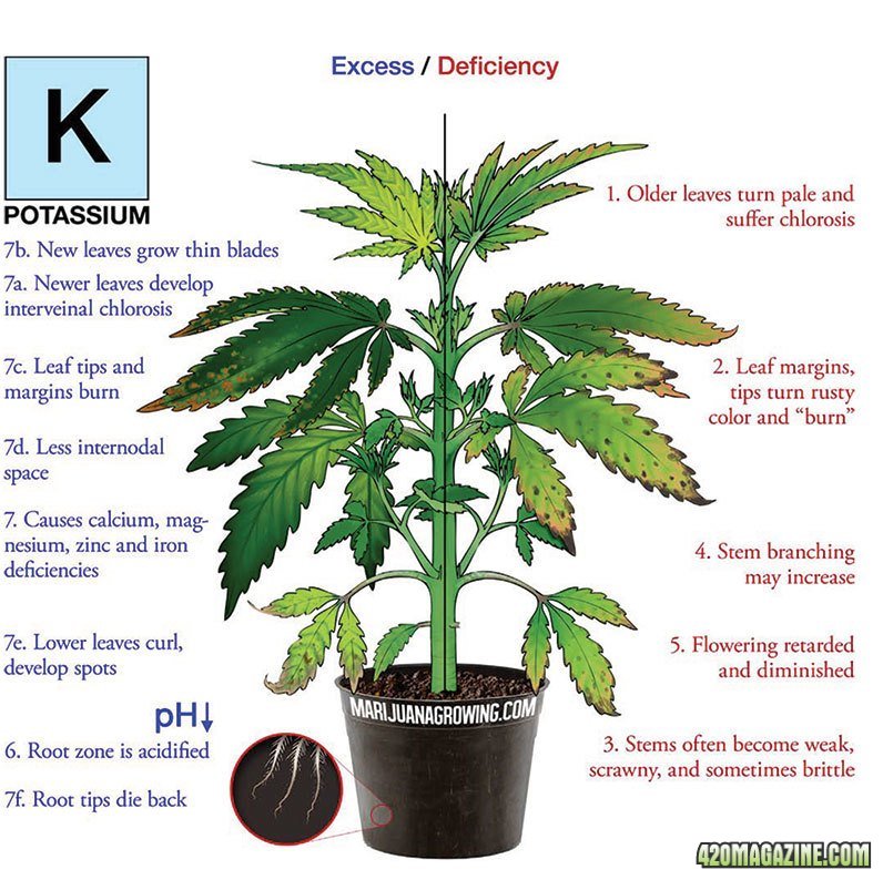 nutrient chart potassium.jpg