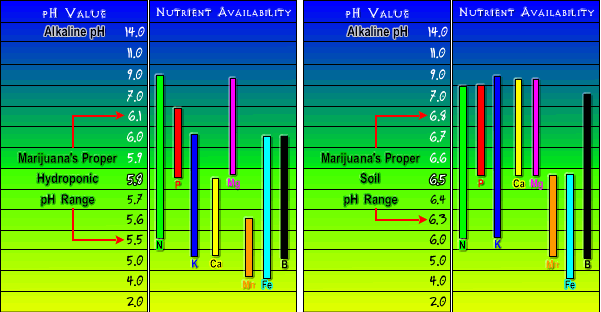 Nutrient_Chart1