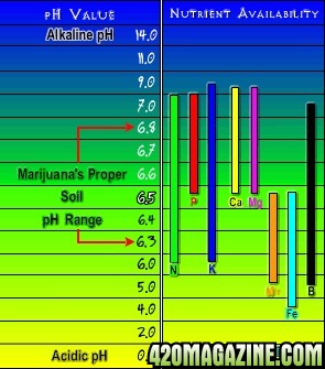 Nutrient_Chart21