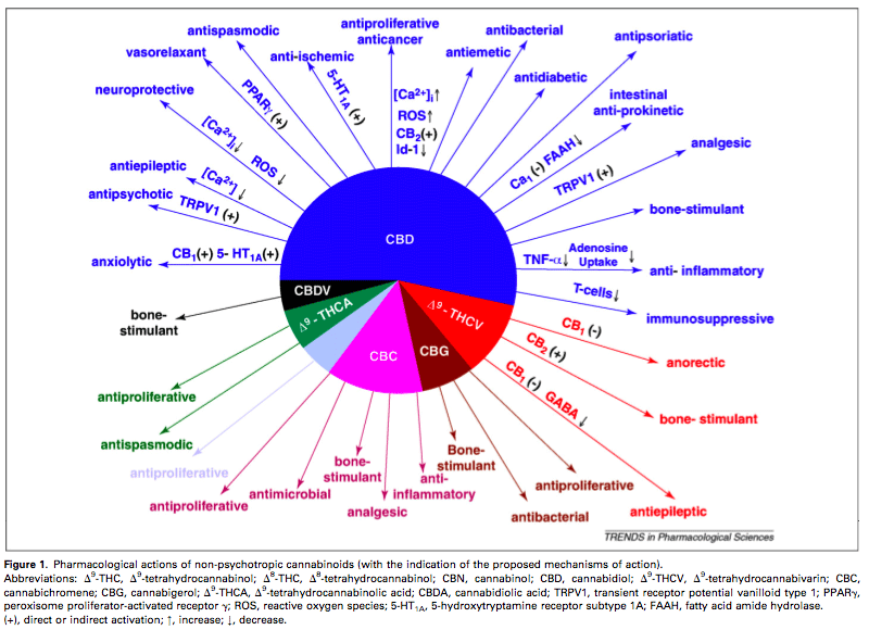 Nutrition Chart