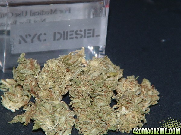 ny diesel