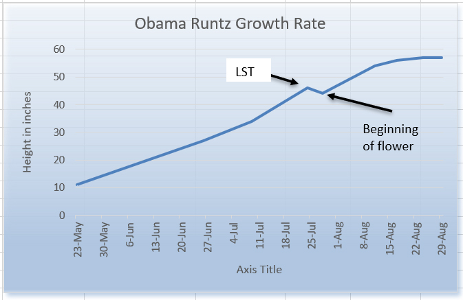 Obama Runtz Growth.jpg